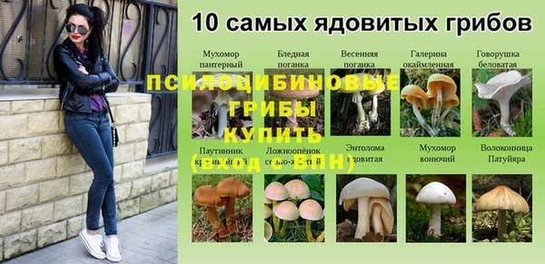мет Нефтекумск