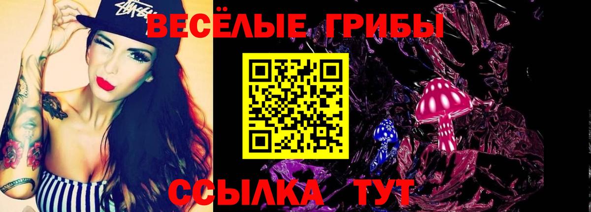 где найти   Соликамск  Псилоцибиновые грибы GOLDEN TEACHER 