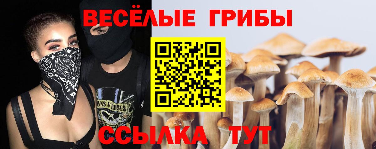 Галлюциногенные грибы прущие грибы Соликамск