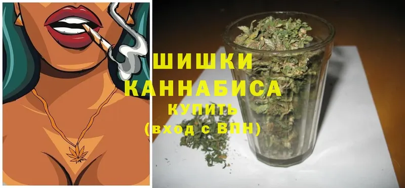 shop наркотические препараты  Соликамск  Каннабис Bruce Banner 